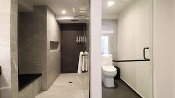 A modern bathroom with a walk-in shower, a toilet, and a glass partition.