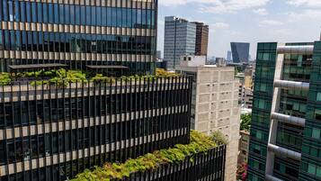 Vista para a região