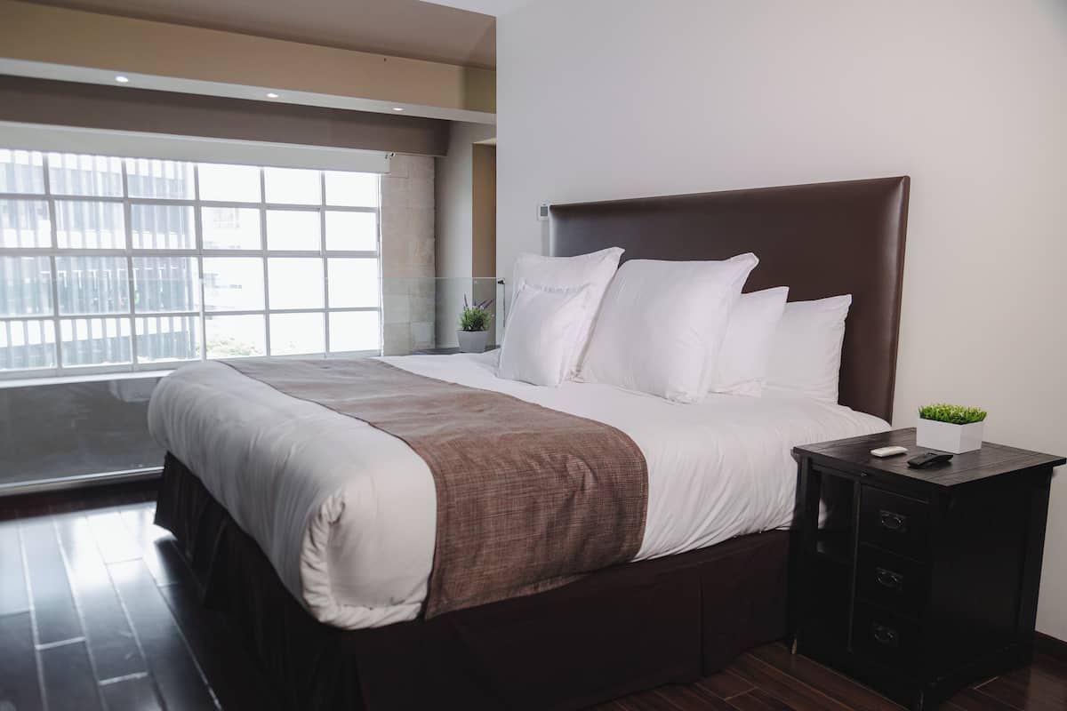 A modern hotel room with a large bed, a nightstand, a potted plant, and a window with a city view.