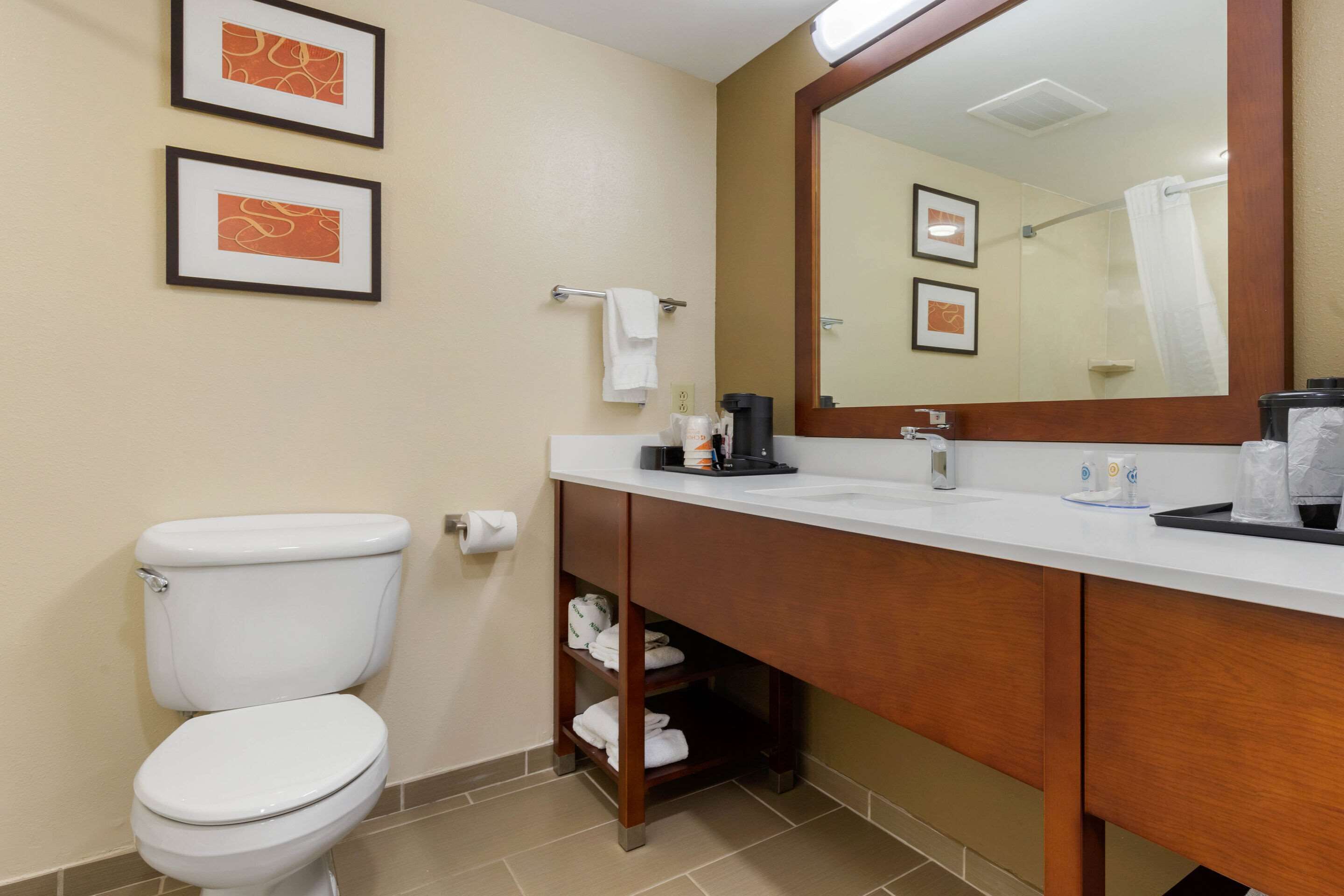standard room, 1 king bed, non smoking | bathroom | combined shower/bathtub, free toiletries, hair dryer, towels