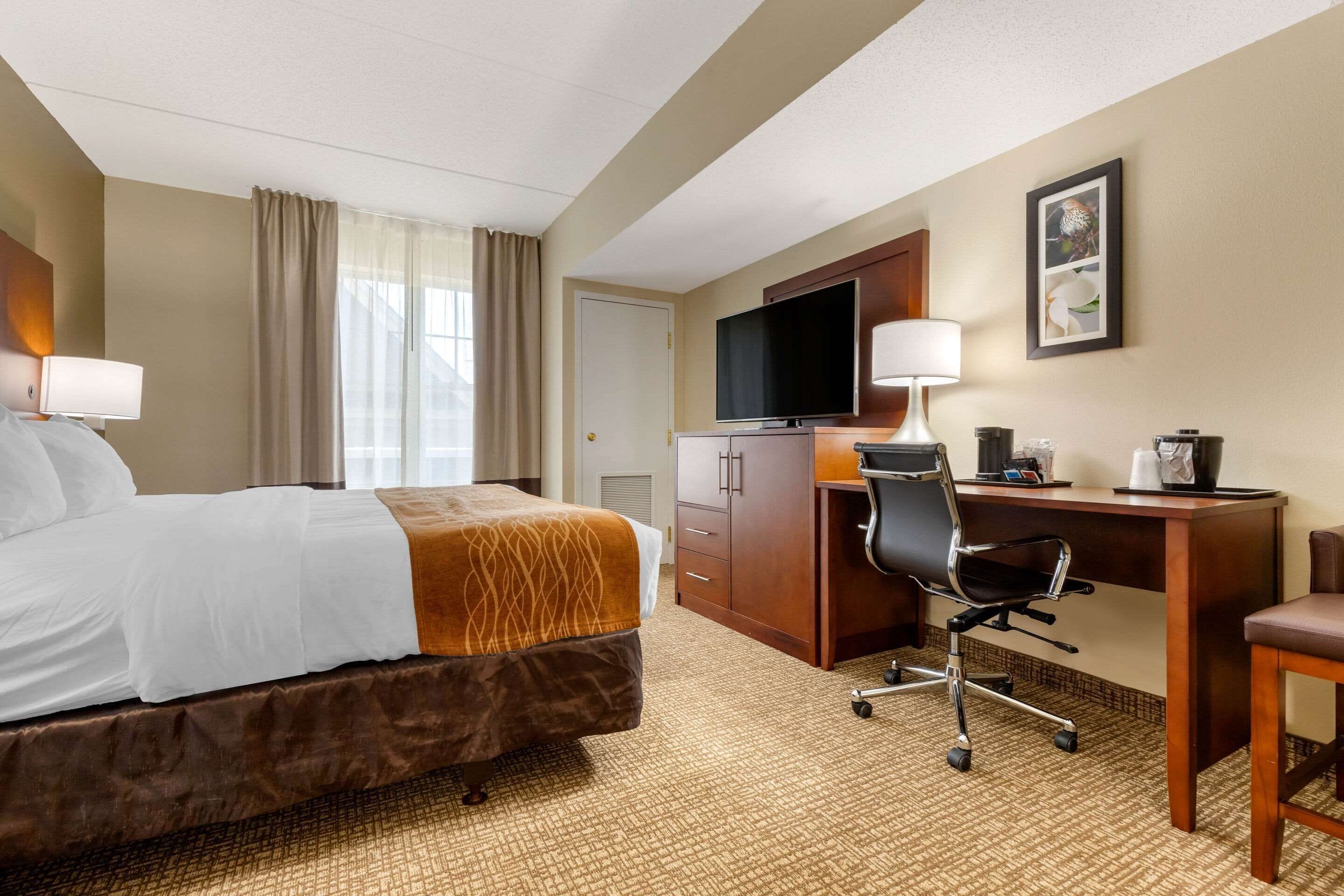 premium bedding, desk, blackout curtains, iron/ironing board