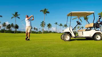 Golfers can enjoy a round on the lush green course surrounded by palm trees.