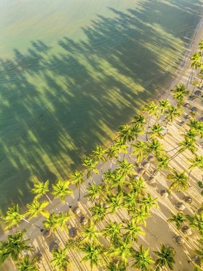 An aerial view of a beach with palm trees and beach chairs. - Bahia Principe Explore La Romana - All Inclusive (Ramón Santana)