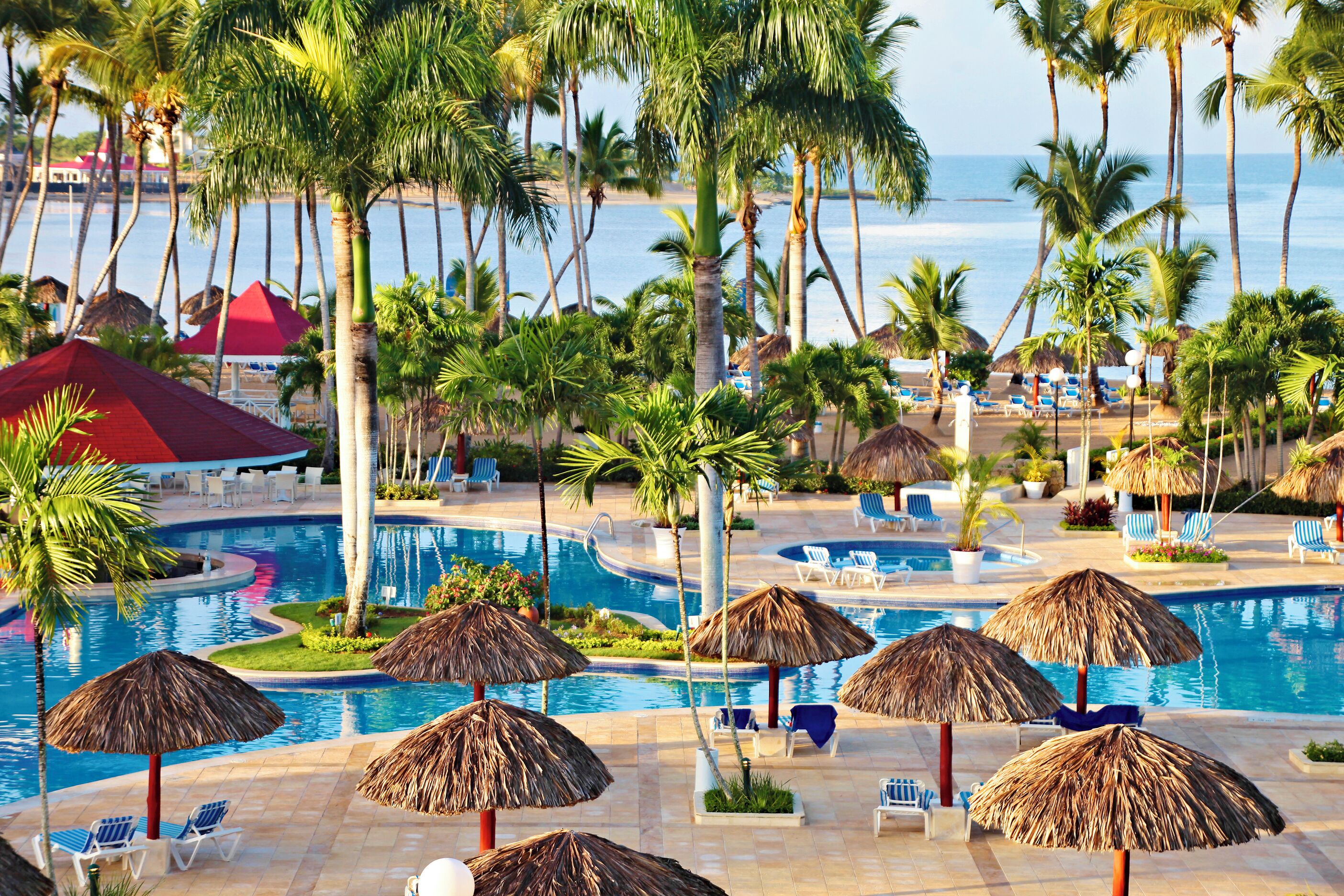 Un espace piscine doté de chaises longues, de parasols en chaume et de palmiers.