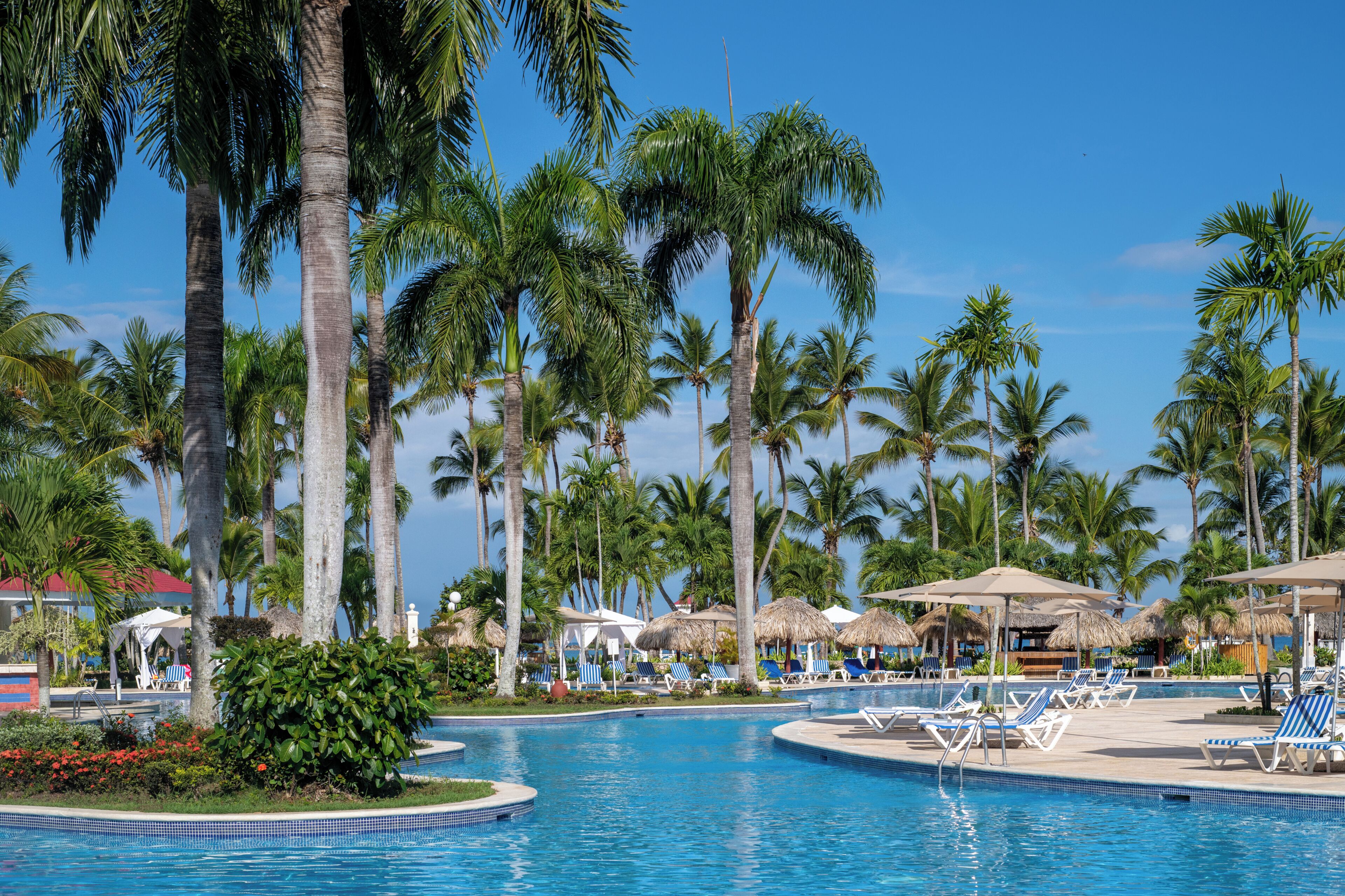 Piscine extérieure, parasols de plage, chaises longues