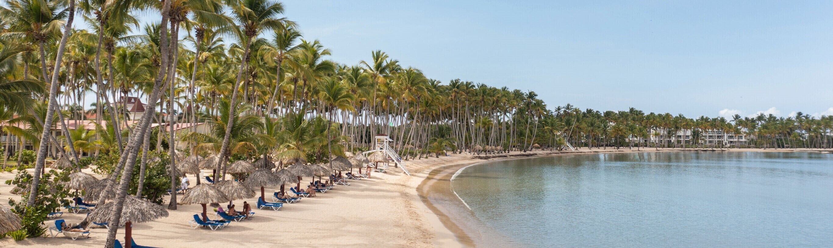 A beach with palm trees, lounge chairs, and a clear sky.