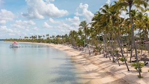 A beach with palm trees, a pier, and a boat.