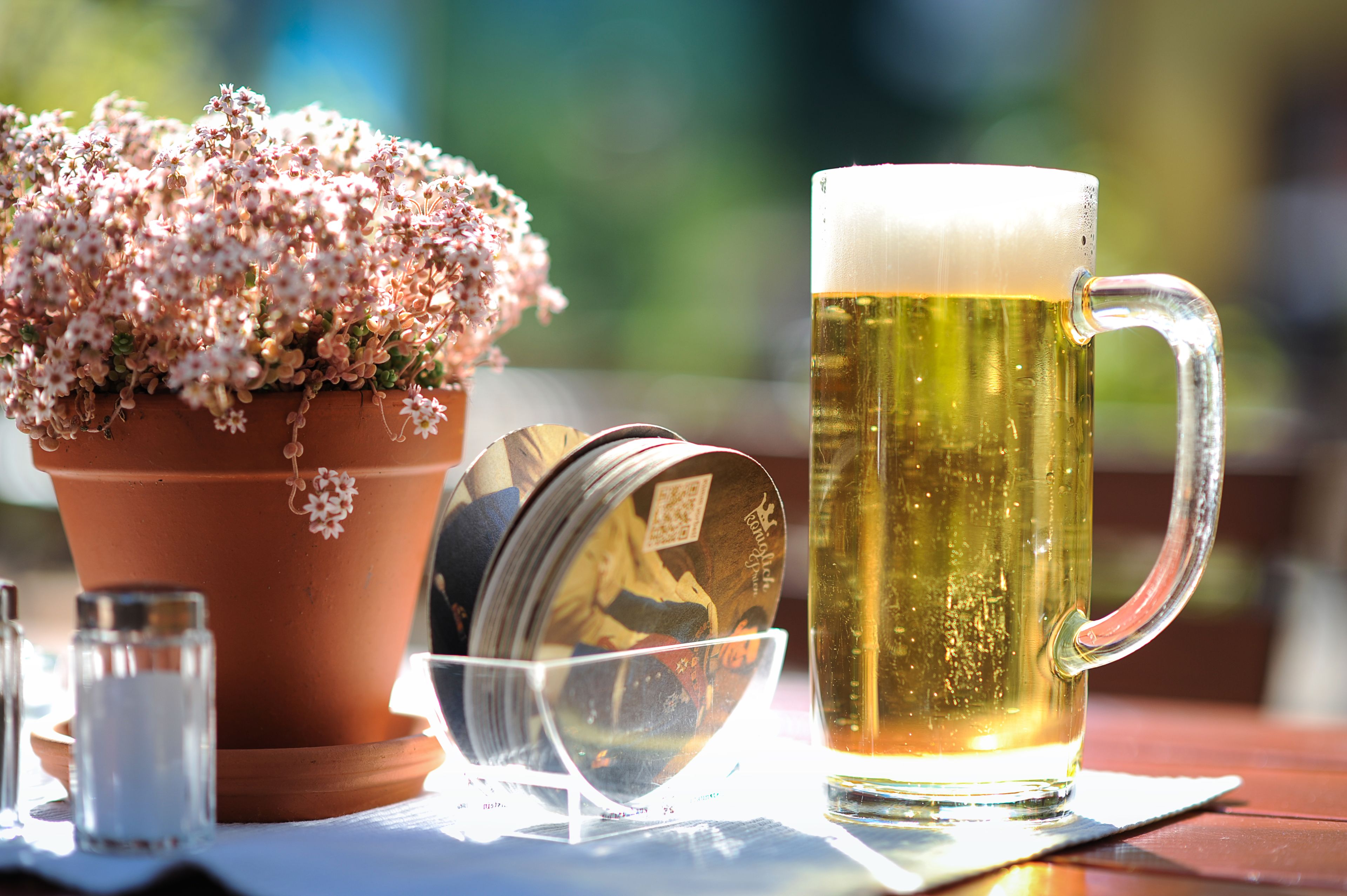 A beer mug, a terracotta pot with flowers, and a salt shaker on a table.
