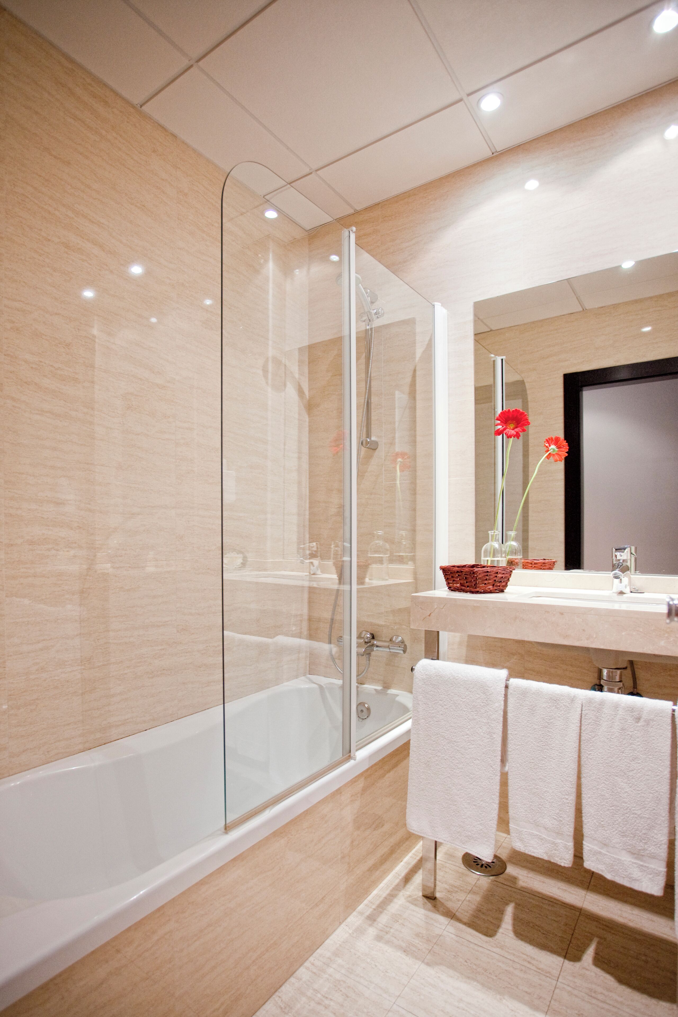 hair dryer, bidet, towels