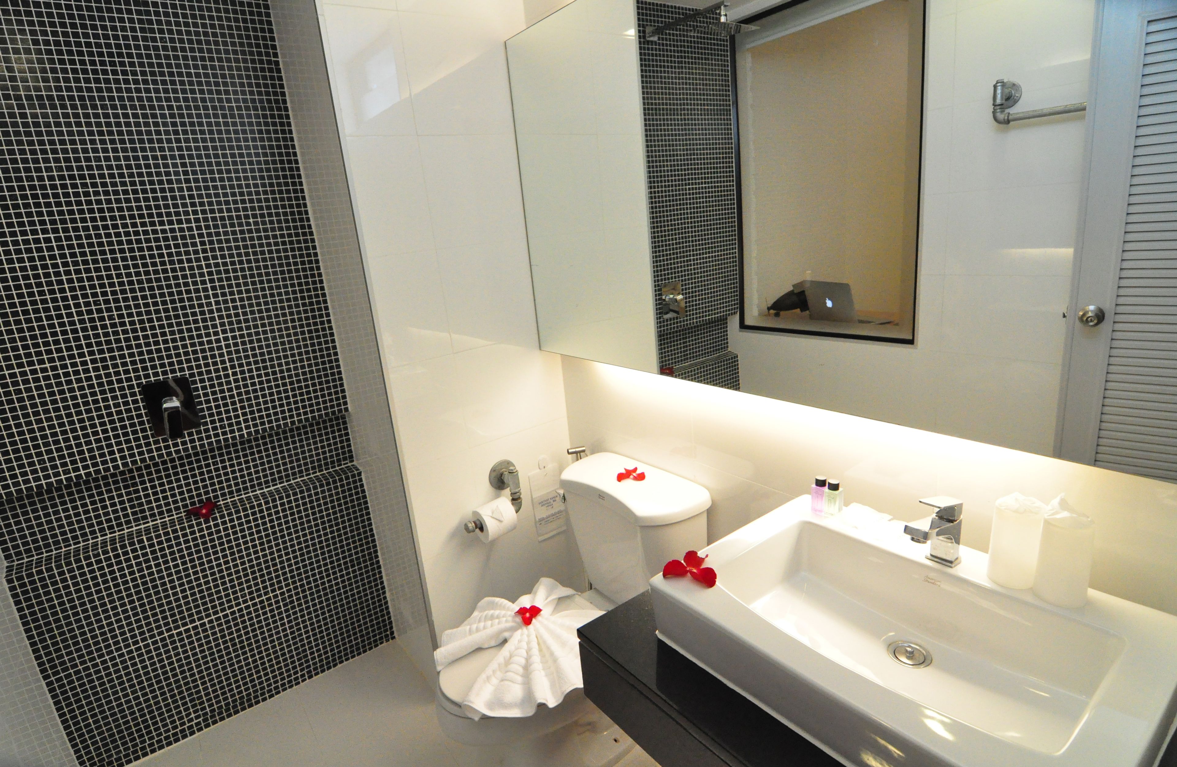 shower, rainfall showerhead, free toiletries, hair dryer