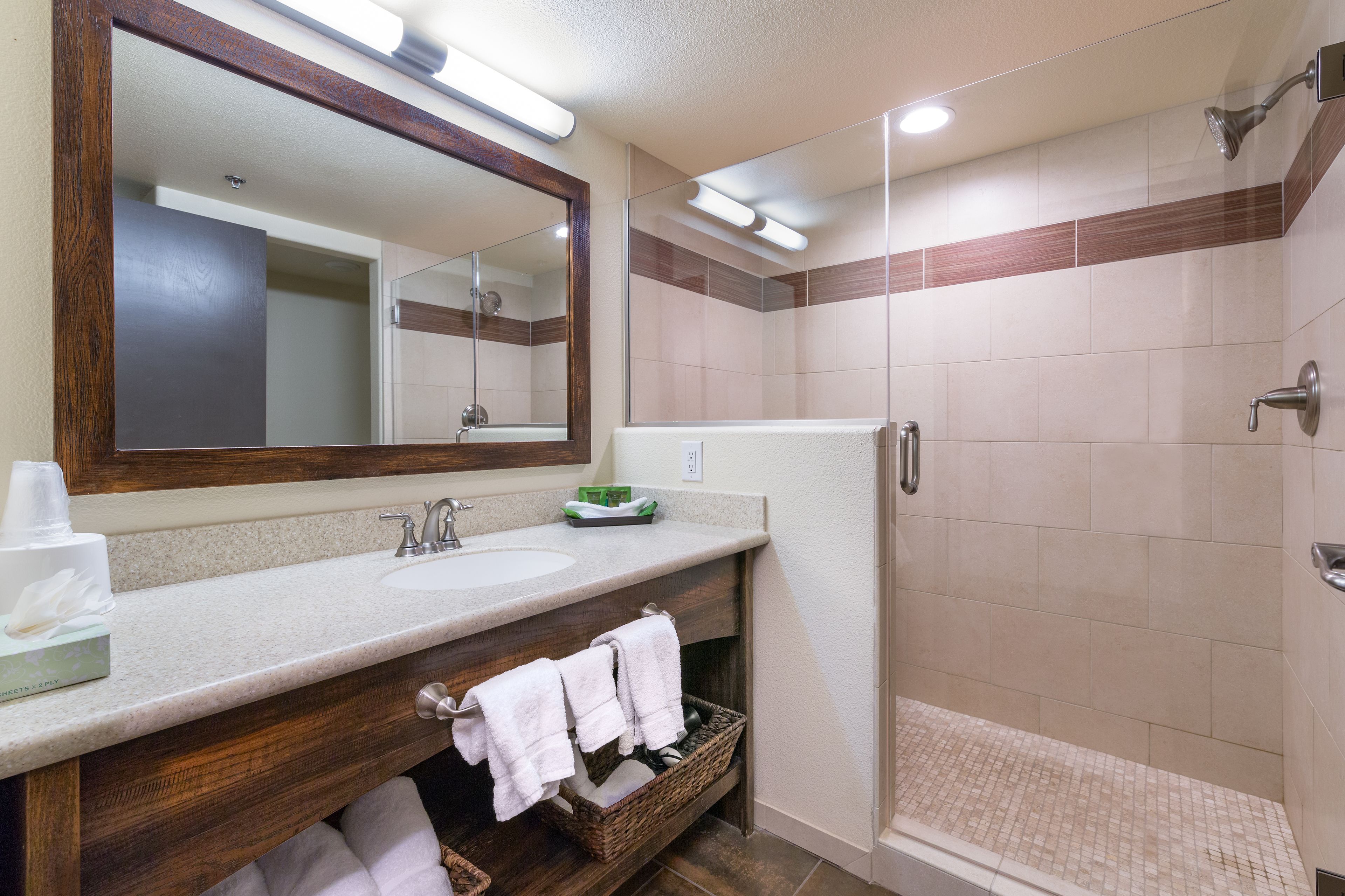 shower, free toiletries, hair dryer, towels