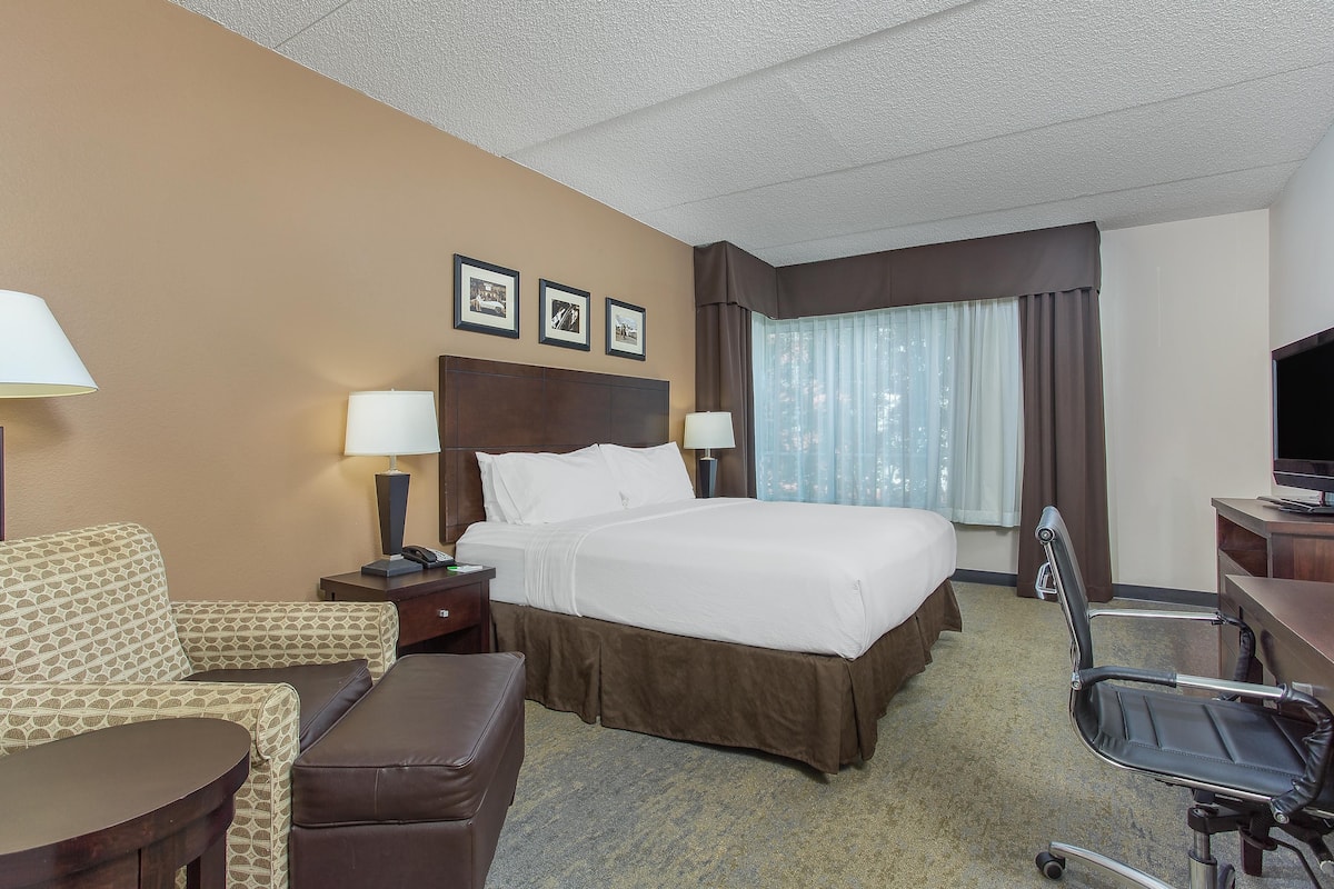 A hotel room with a large bed, a desk, a chair, and a sofa.