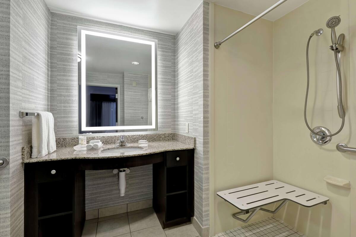 Baño | Amenidades de baño gratuitas, secadora de cabello, toallas 