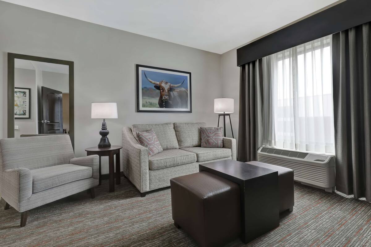 Habitación de hotel con un sofá gris, un sillón a juego, una mesita de centro, una mesita auxiliar con una lámpara, un ventanal con cortinas y un cuadro de un toro en la pared.