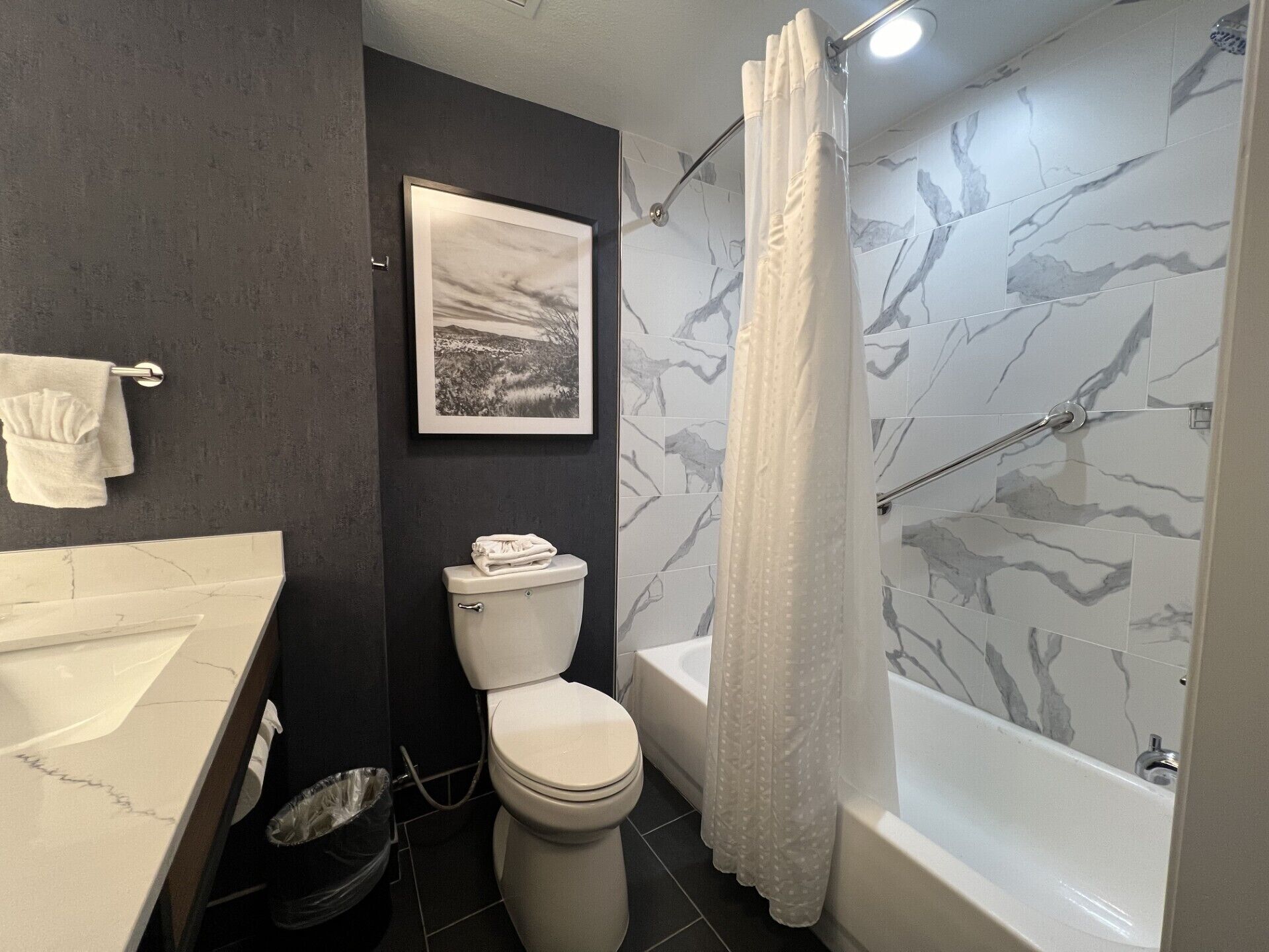 combined shower/bathtub, free toiletries, hair dryer, towels