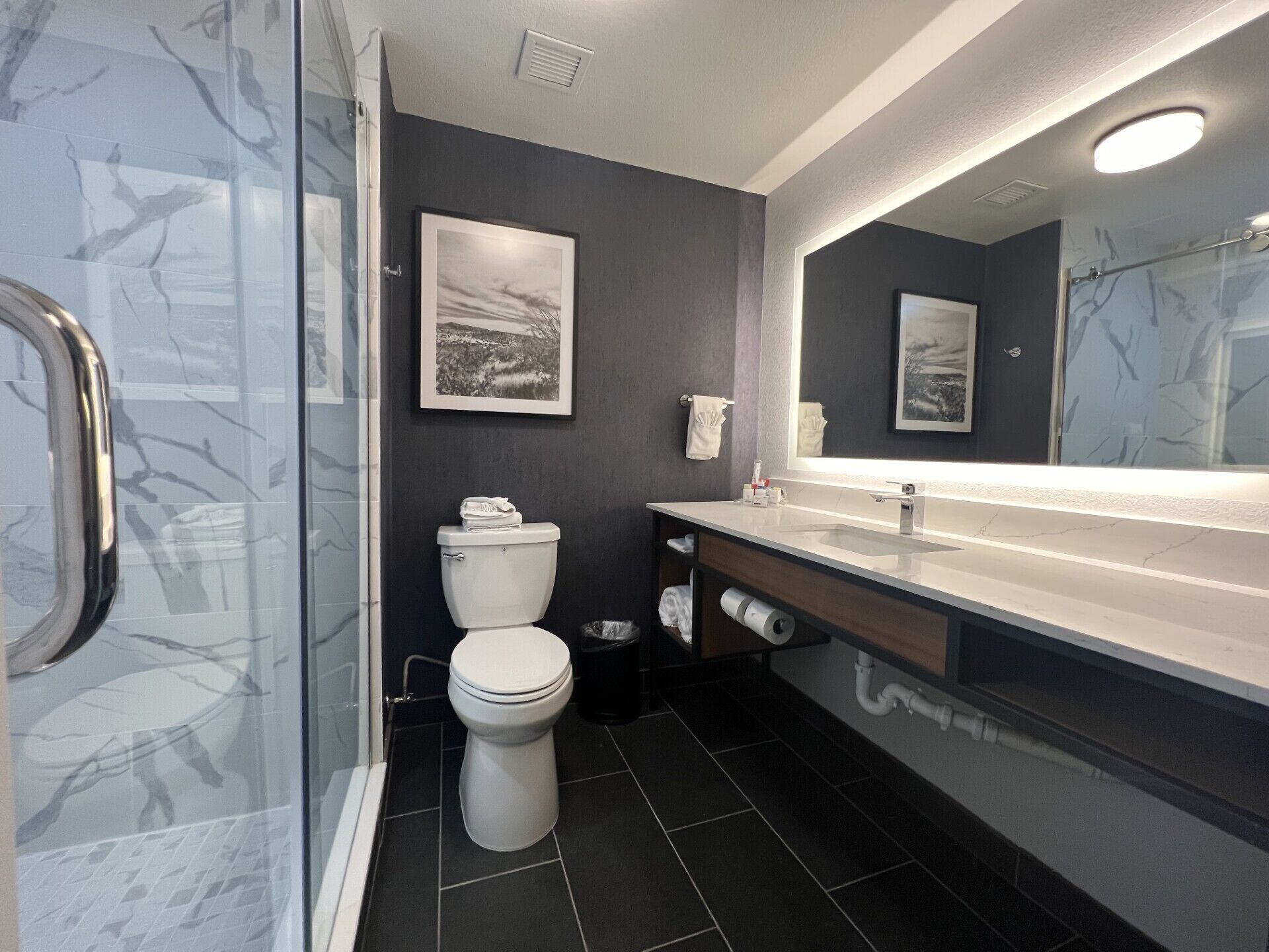 combined shower/bathtub, free toiletries, hair dryer, towels