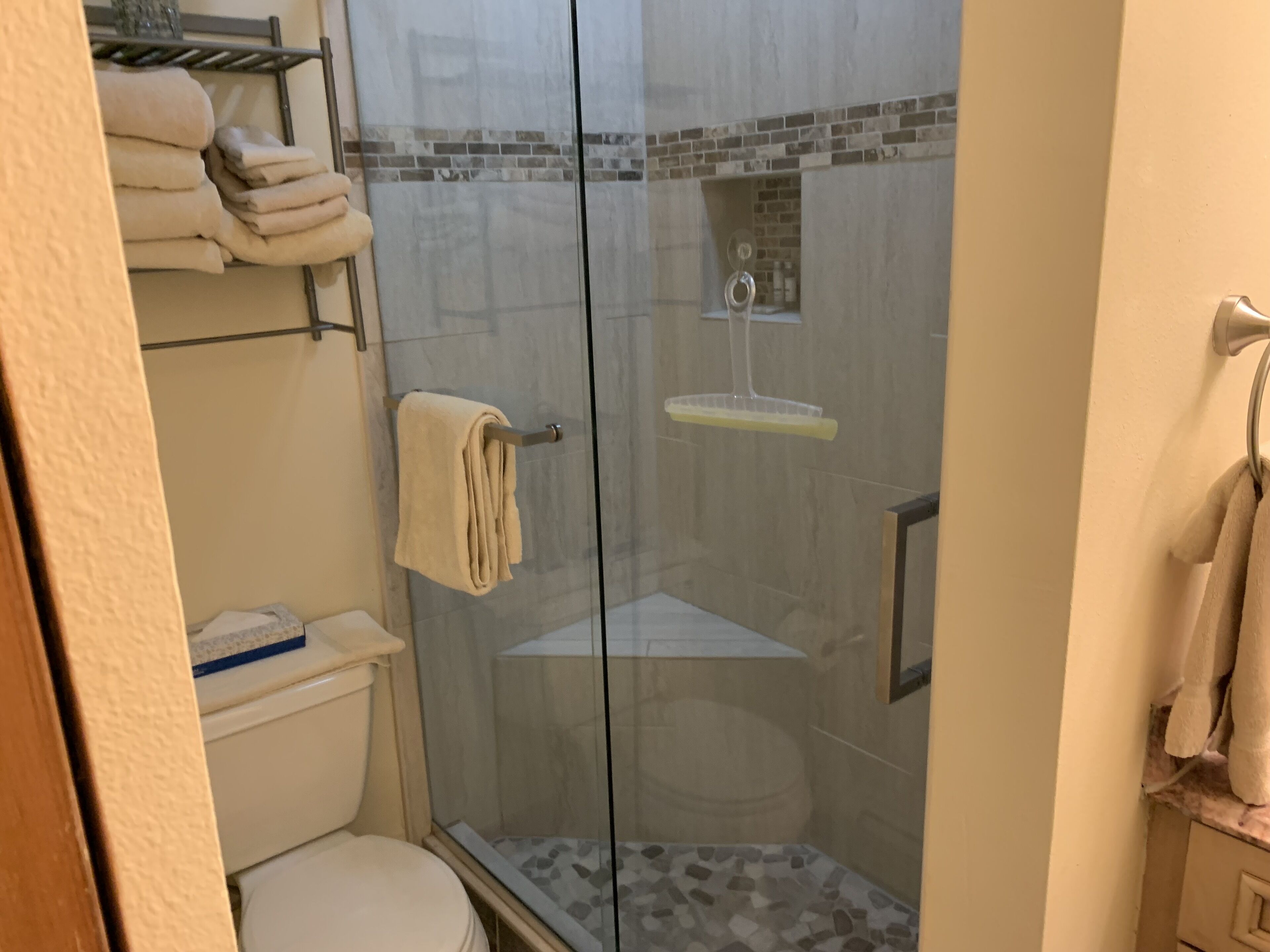 A bathroom with a glass-enclosed shower, a toilet, and a sink with a towel rack above.