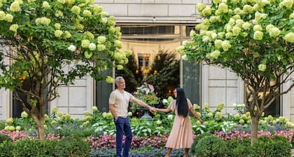 Waldorf Astoria Atlanta Buckhead