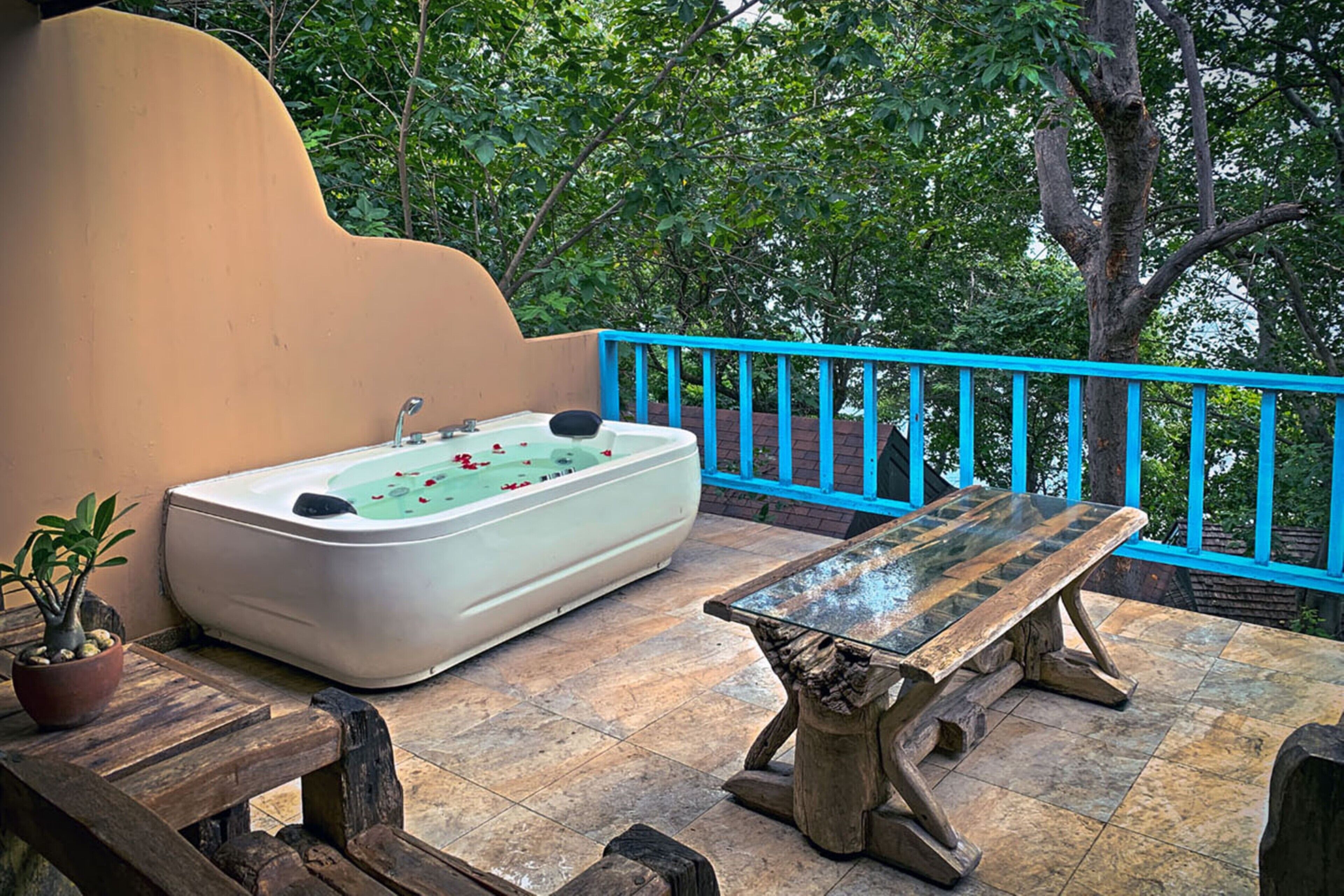 Zona de spa con hidromasaje, banco de madera y plantas en macetas.