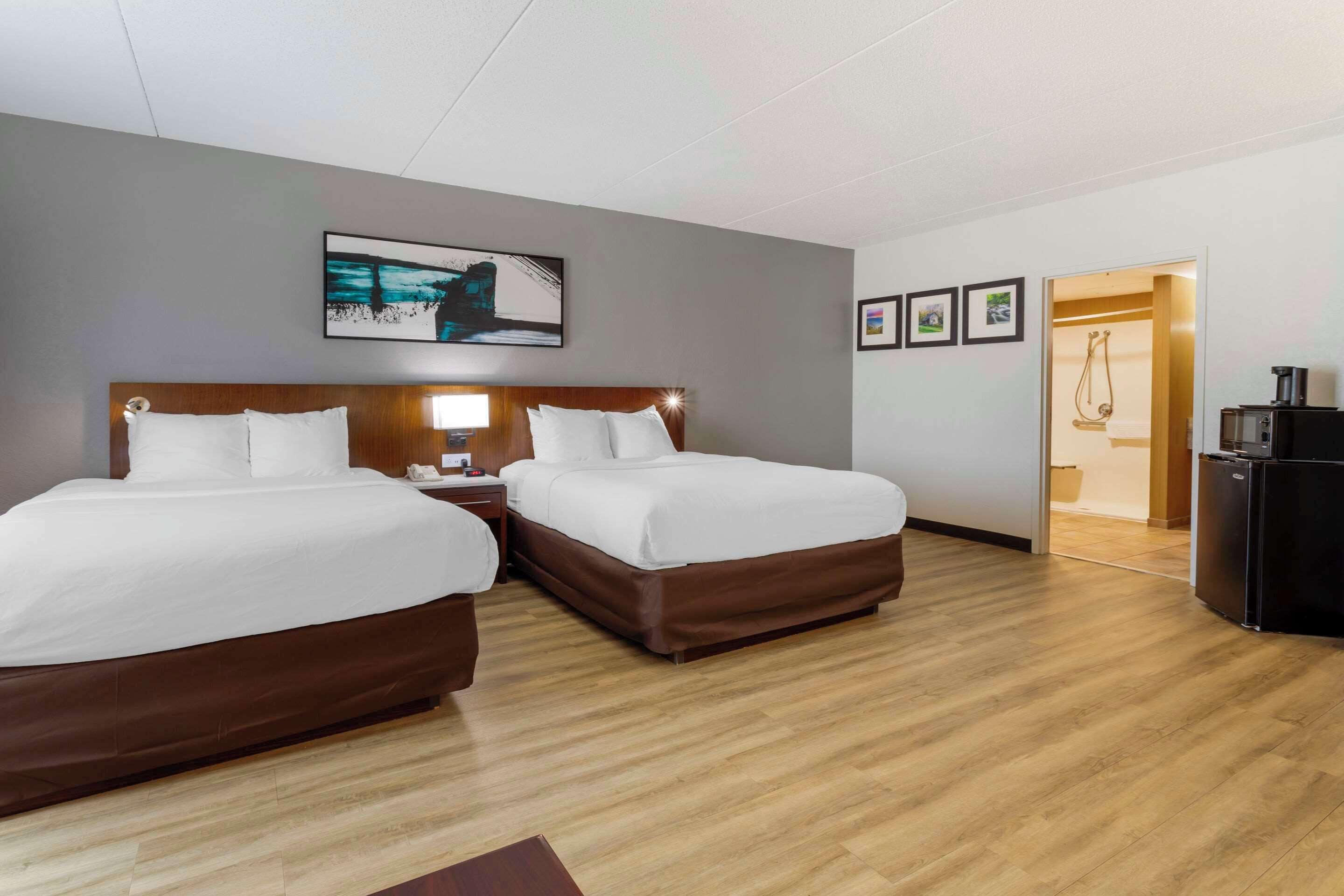 suite, multiple beds, accessible, non smoking | egyptian cotton sheets, premium bedding, down duvets