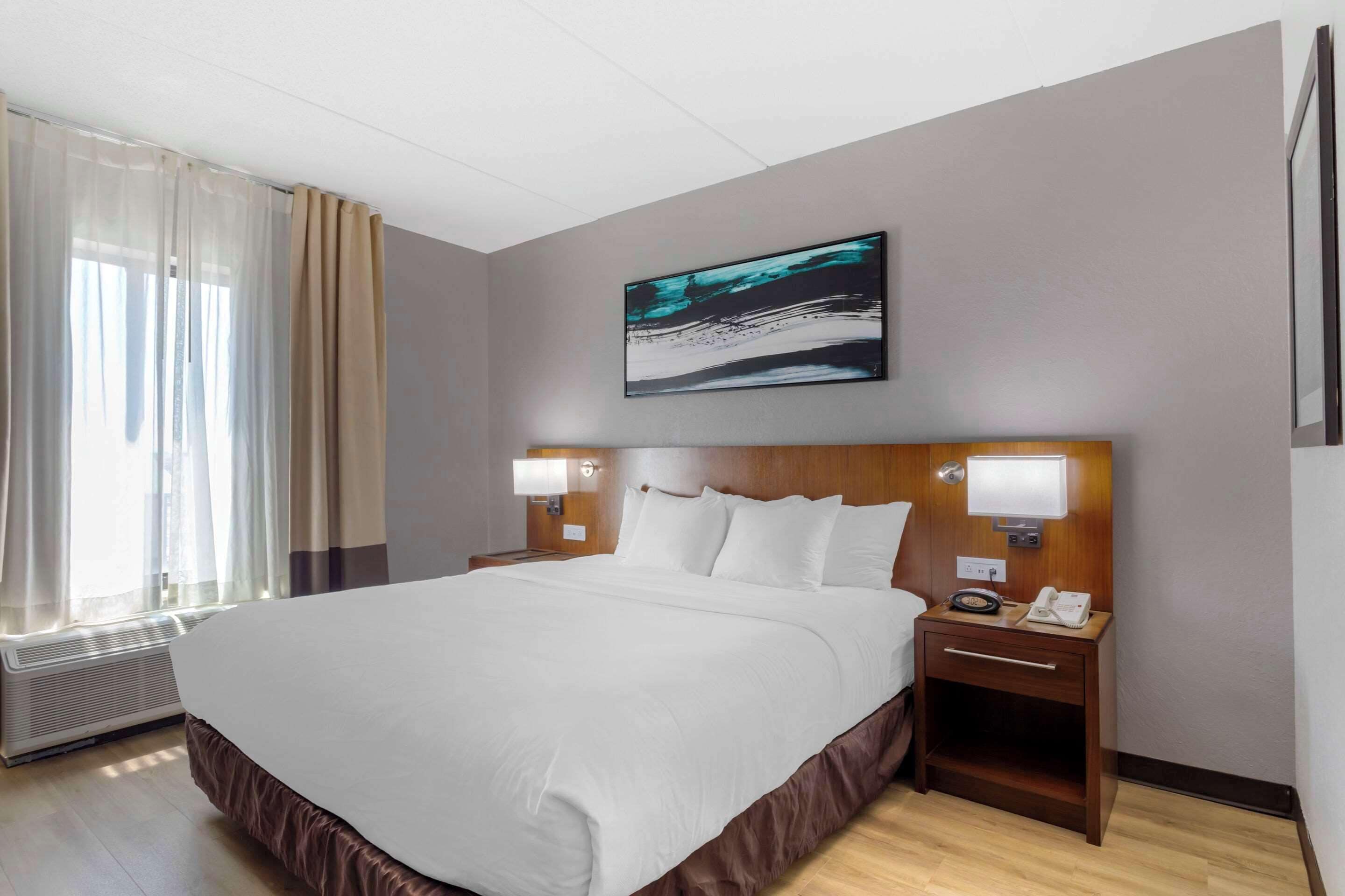 suite, 1 king bed with sofa bed, accessible, non smoking | egyptian cotton sheets, premium bedding, down duvets