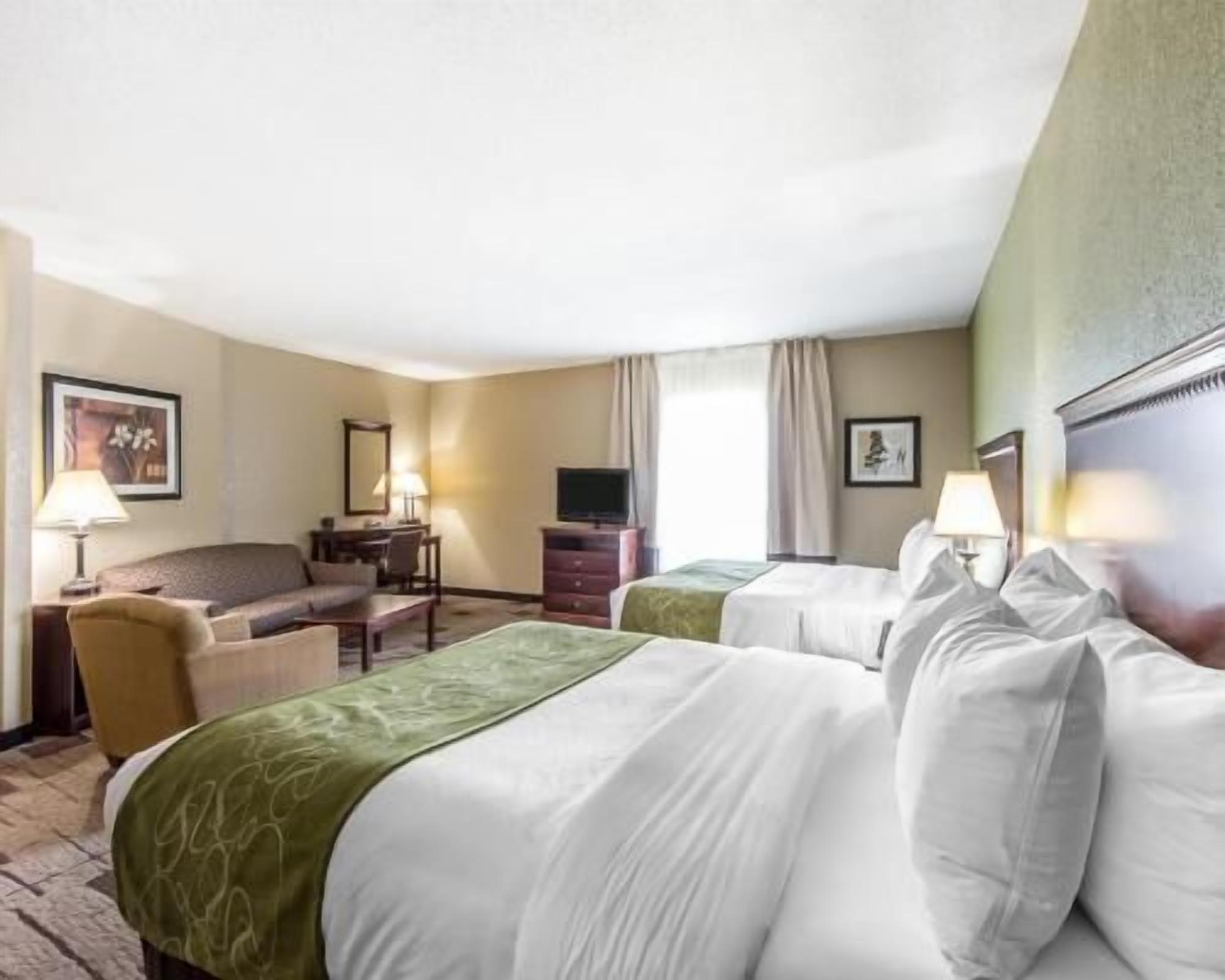 Egyptian cotton sheets, premium bedding, down comforters