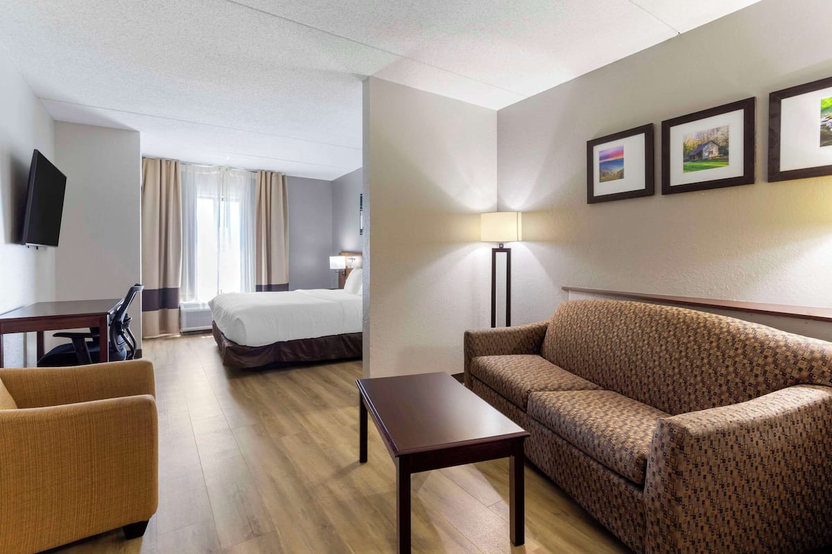 A hotel room with a bed, a sofa, a desk, a TV, and a lamp.