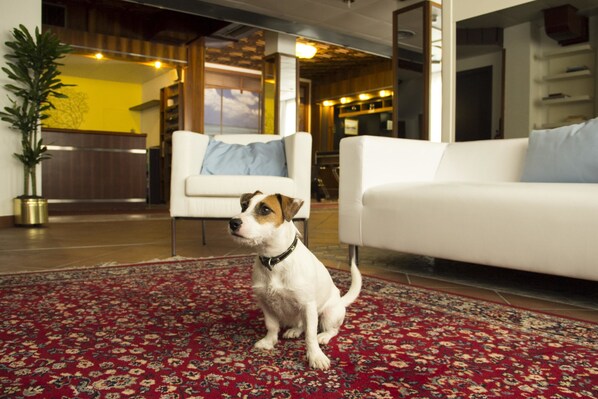 Coin salon dans le hall