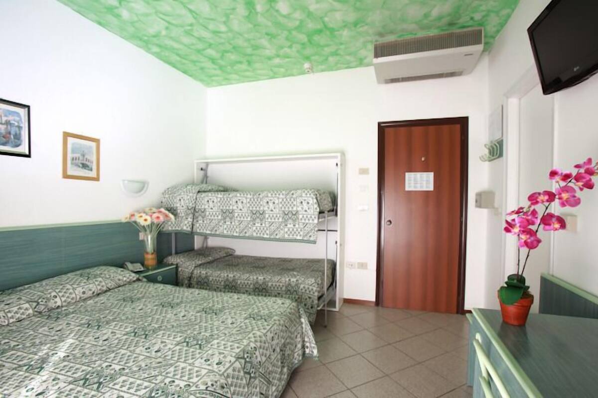 Una habitación con literas, una puerta de madera, un televisor y una orquídea en maceta.