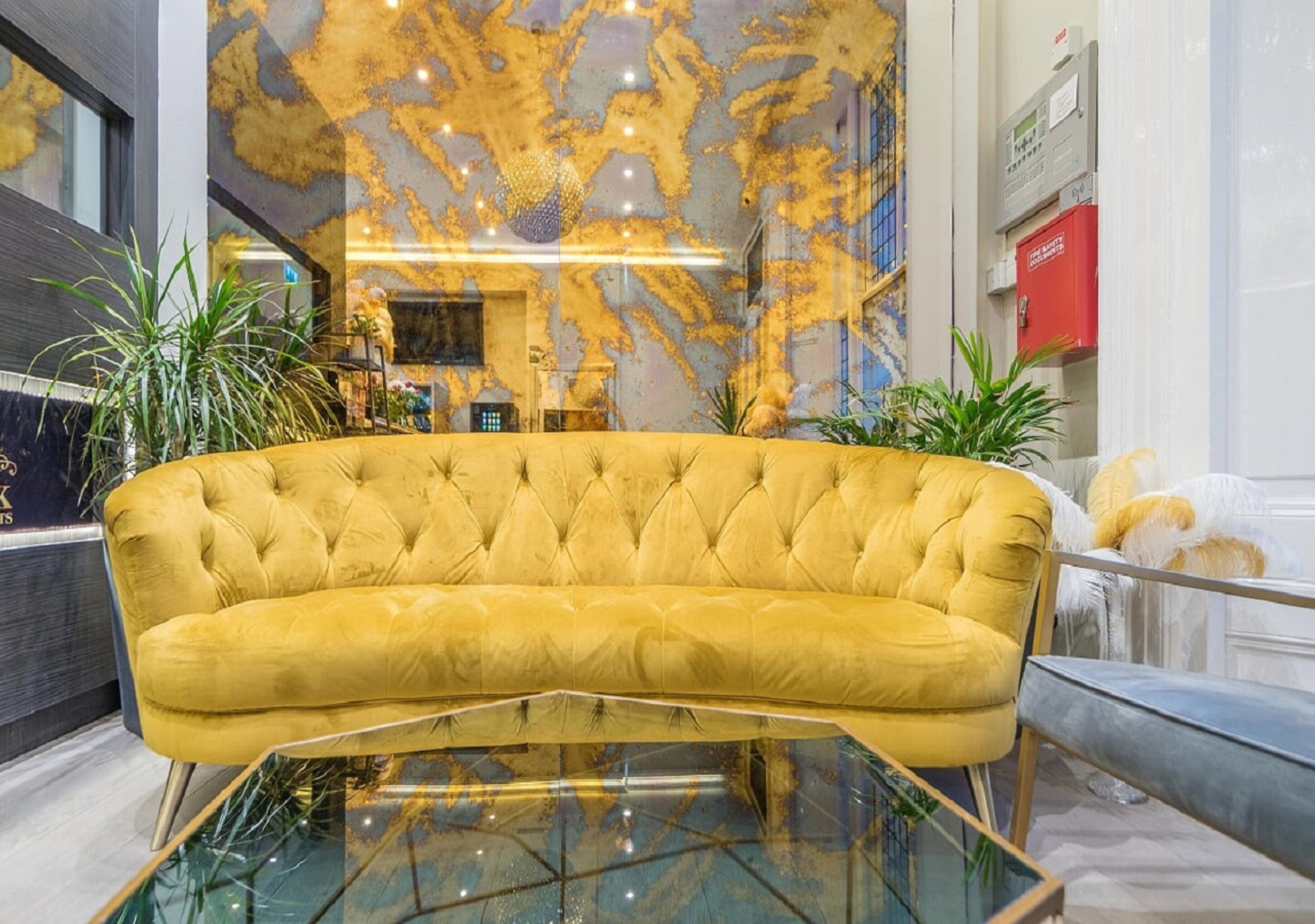 Photo - Hyde Park Executive Apartments