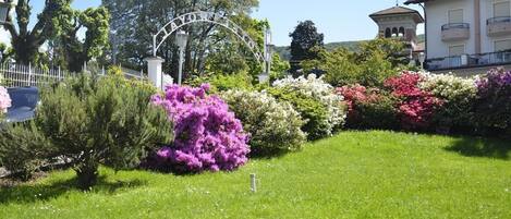 A well-maintained garden with a variety of flowering plants and a white fence.