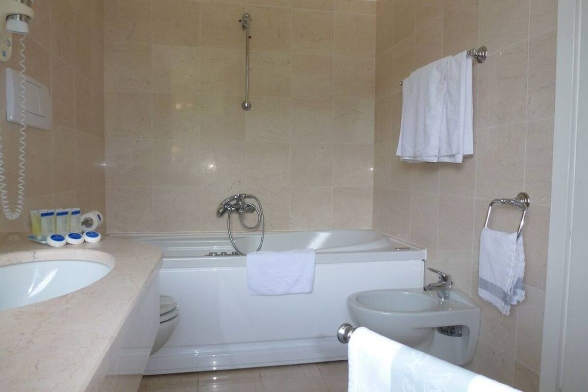 hair dryer, bidet, towels