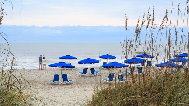A beach with rows of blue umbrellas and white lounge chairs.