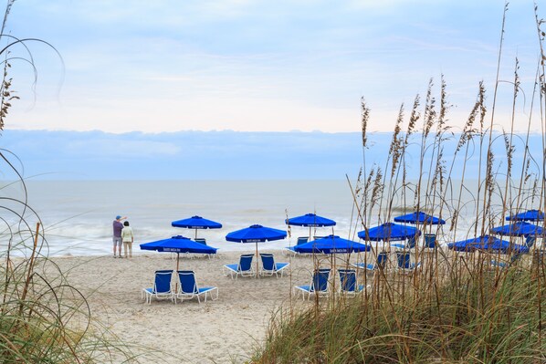 Plage, chaises longues, parasols, pêche sur place