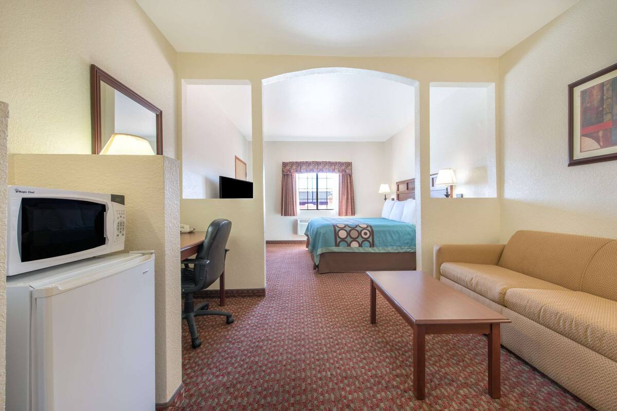 A hotel room with a bed, a sofa, a desk, a chair, a microwave, and a television.