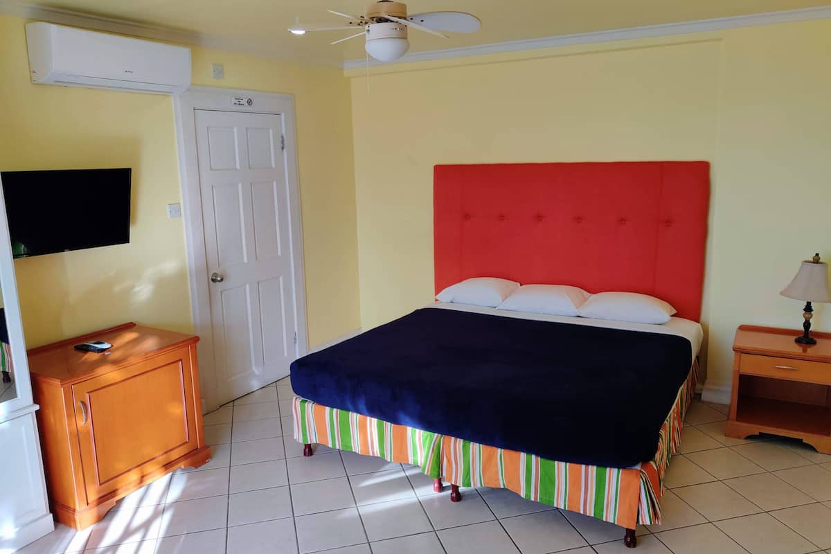 A bedroom with a bed, a television, a ceiling fan, and a door.