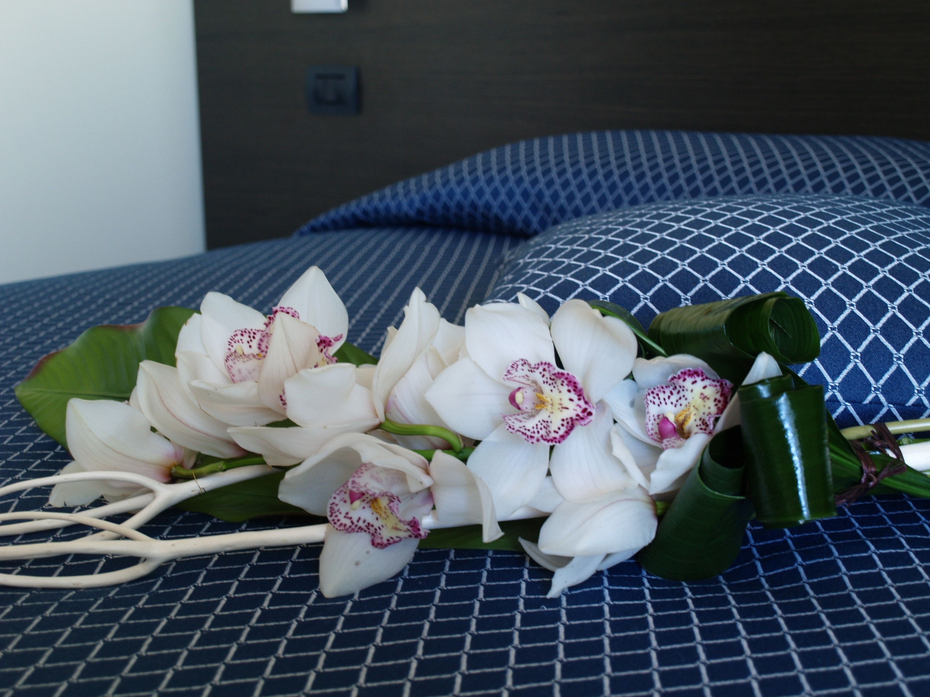 single room | minibar, in-room safe, desk, blackout curtains