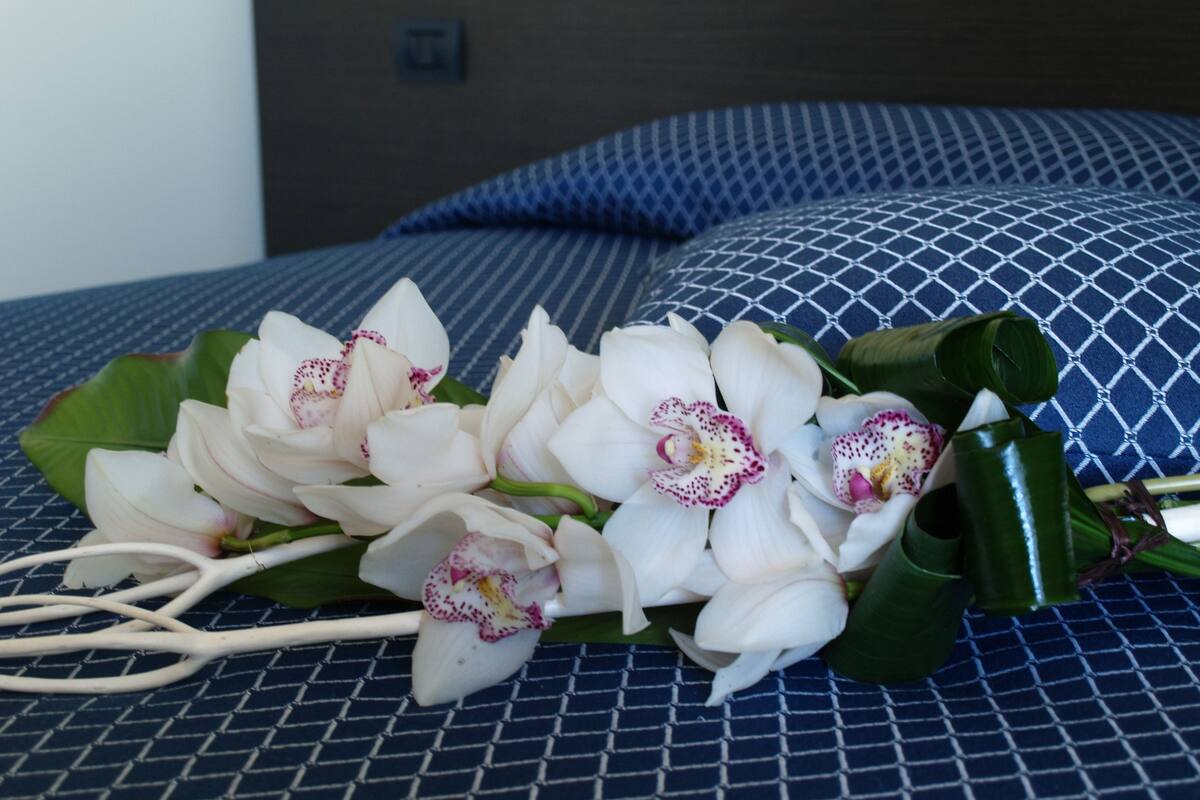 single room | minibar, in-room safe, desk, blackout curtains