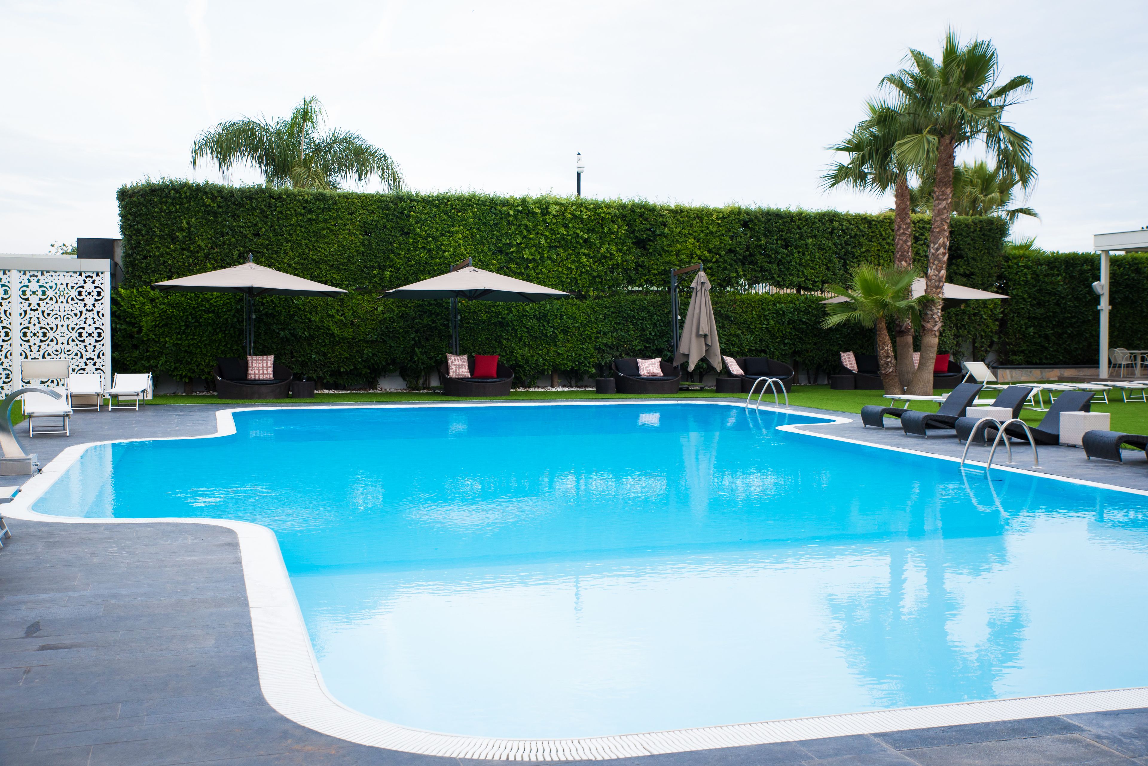 A swimming pool with lounge chairs and umbrellas, surrounded by a hedge and palm trees.