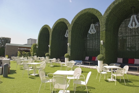 Garden. Hotel Giulia Ocean Club
