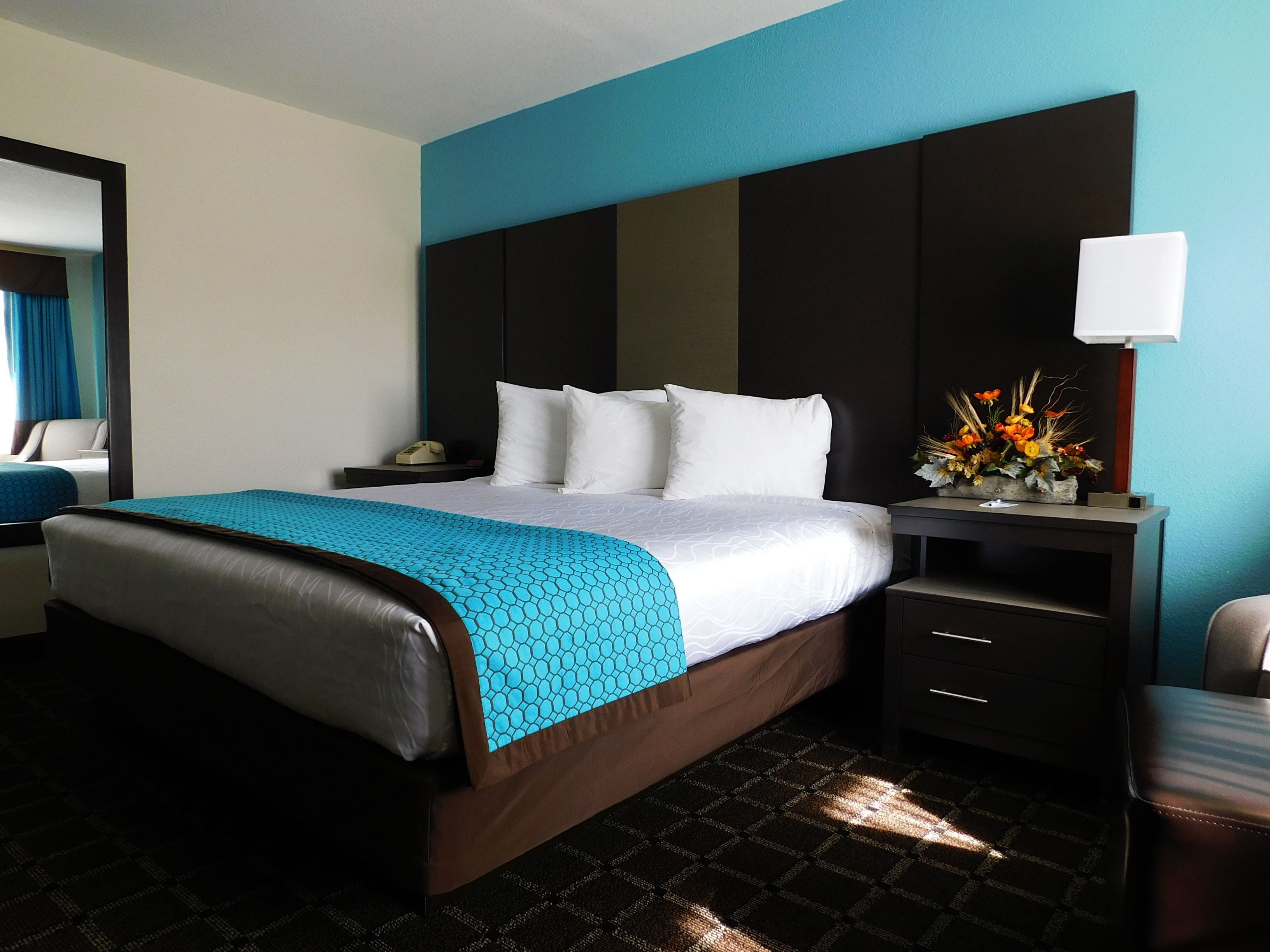 Standard Room, 1 King Bed, Accessible, Non Smoking | Desk, iron/ironing board, rollaway beds, free WiFi