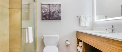 A modern bathroom with a glass shower enclosure, a white toilet, a wooden vanity with a mirror, and a wall-mounted toilet paper holder.