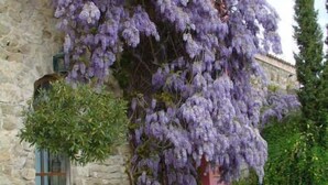 Tuin