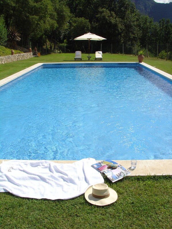 Outdoor pool, pool umbrellas, pool loungers