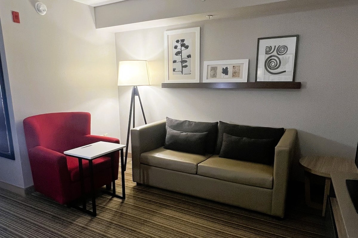 Studio Suite, 1 King Bed, Non Smoking | Living area | 52-inch flat-screen TV with cable channels, TV