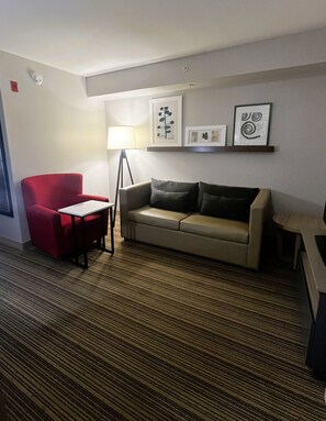 Studio suite, 1 kingsize bed, niet-roken | Woonruimte | Een 52-inch flatscreentelevisie met kabelzenders en televisie