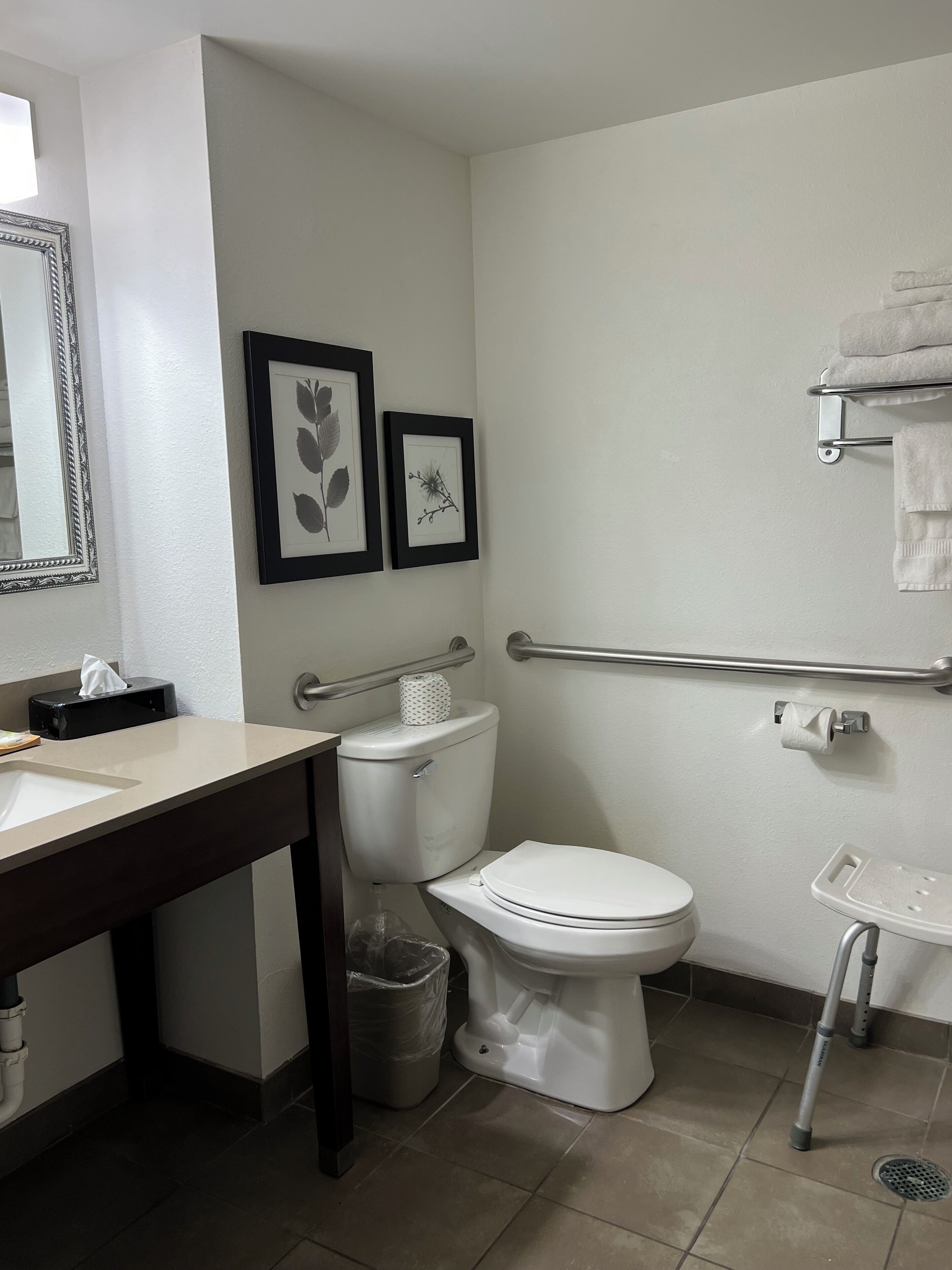 A modern bathroom with a toilet, bidet, and handrail. There are framed pictures on the wall and a towel rack with towels.