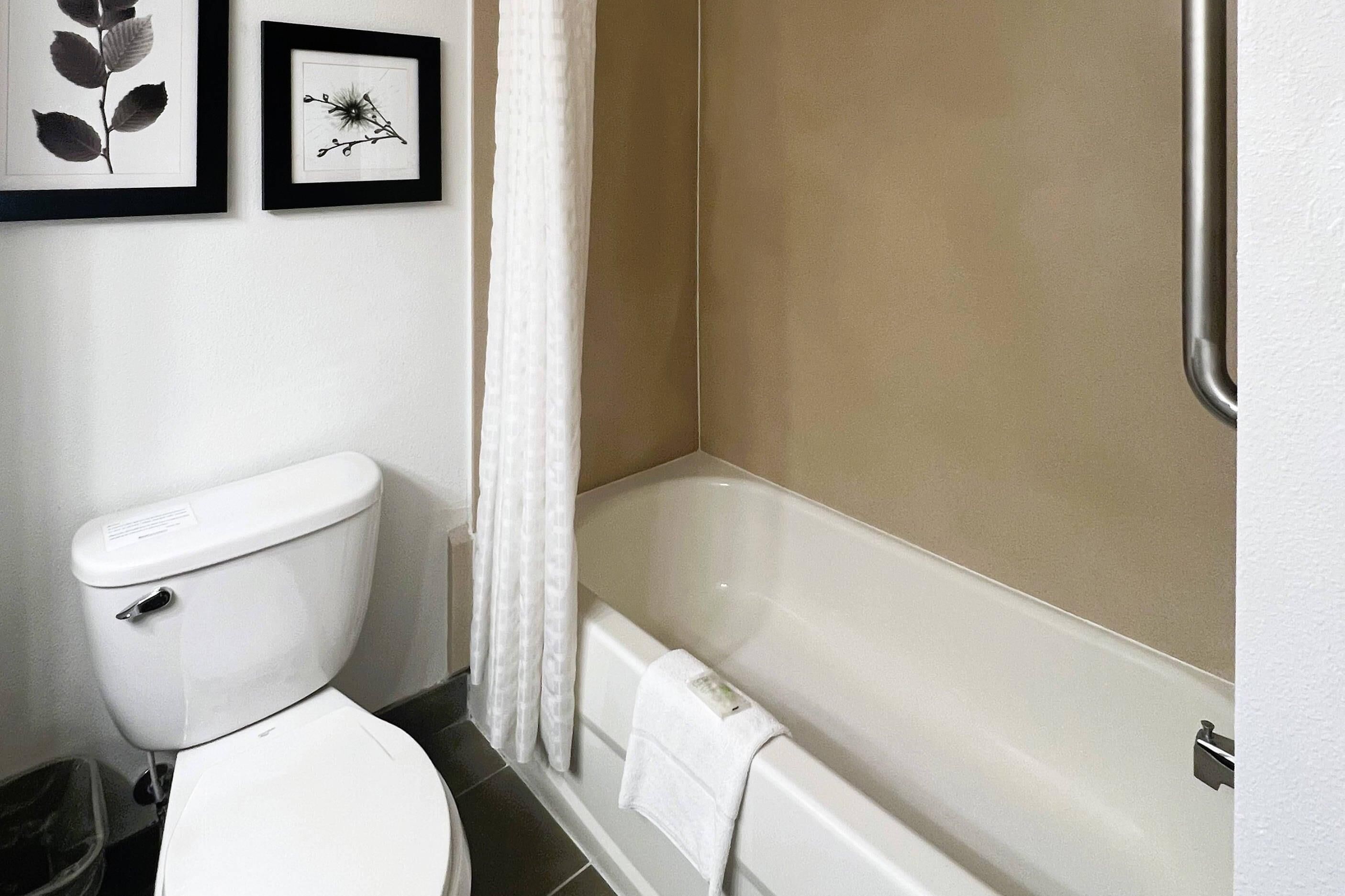 Un baño con inodoro, bañera y dos cuadros en la pared.