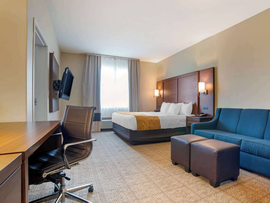 A hotel room with a bed, a desk, a chair, a sofa, and a TV mounted on the wall.