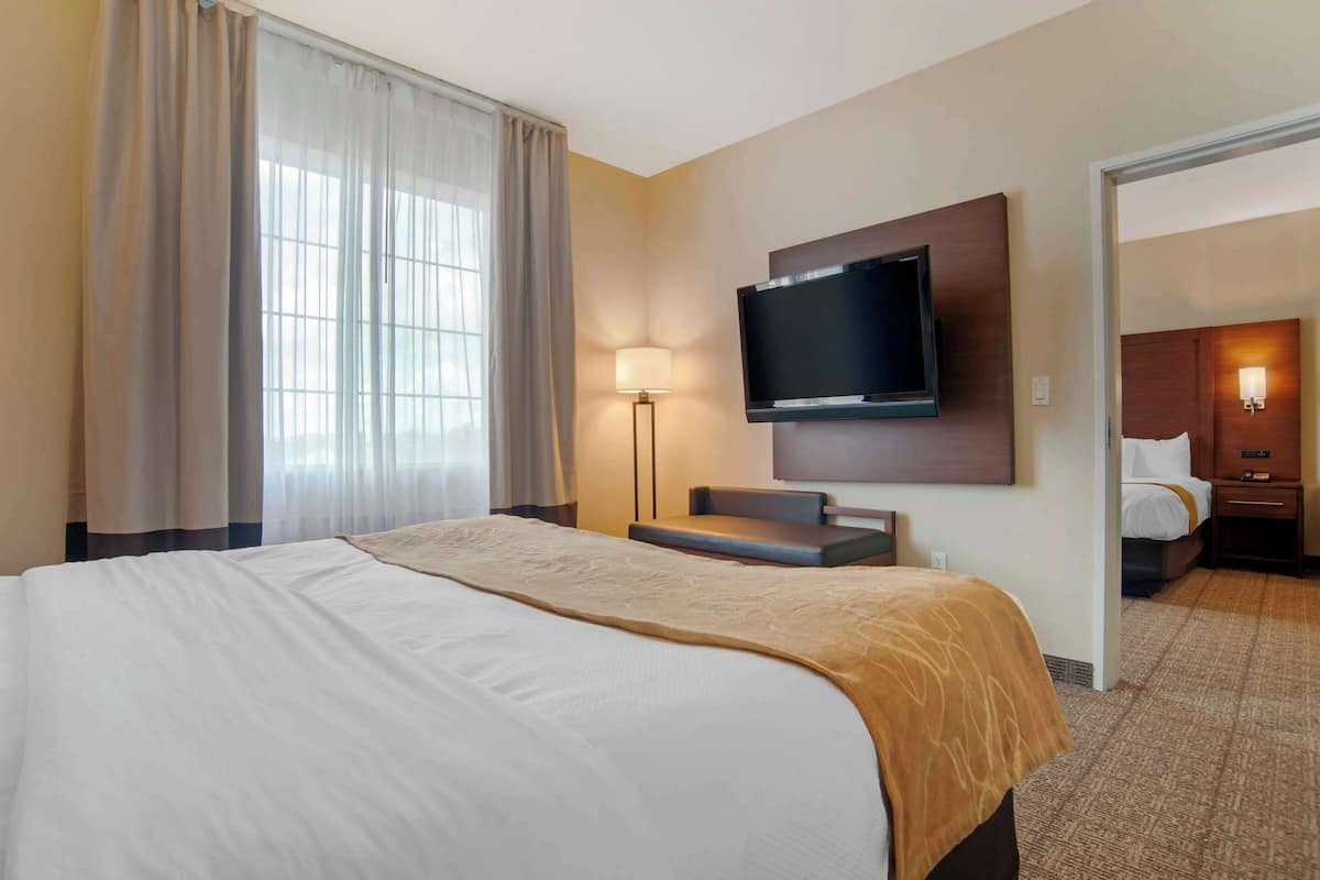suite, multiple beds, accessible, non smoking | premium bedding, in-room safe, desk, iron/ironing board
